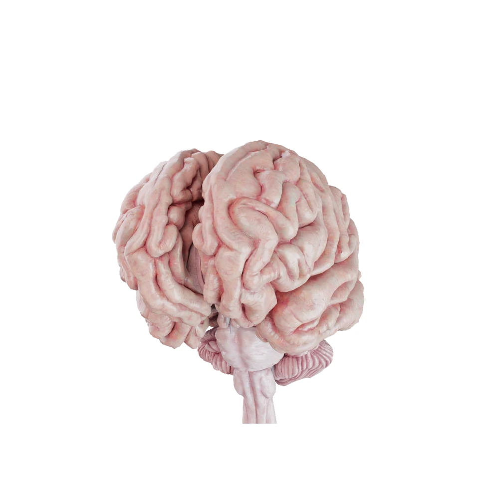 CNS and PNS Disorders